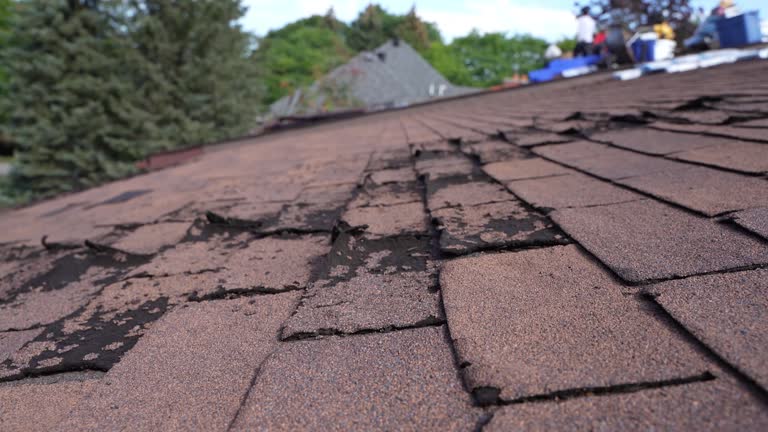 Cold Roofs in Lavaca, AR
